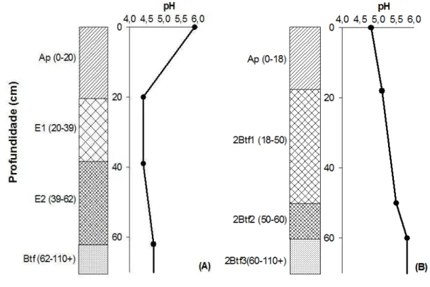 Figura  4  –   Variação  de  pH  em  KCl  nos  perfis  estudados.  (A)  PLANOSSOLO  HÁPLICO  Eutrófico solódico; (B) PLANOSSOLO HÁPLICO Eutrófico típico