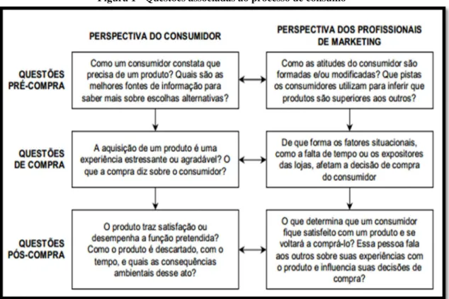 Figura 1 - Questões associadas ao processo de consumo 