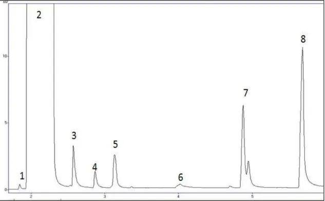 Figura 11 (b) -Cromatograma da cachaça do Brasil Picos: 1: Acetaldeído; 2: etanol; 3: N-propanol; 4: 