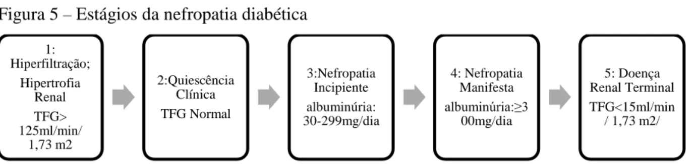 Figura 5  ‒  Estágios da nefropatia diabética 
