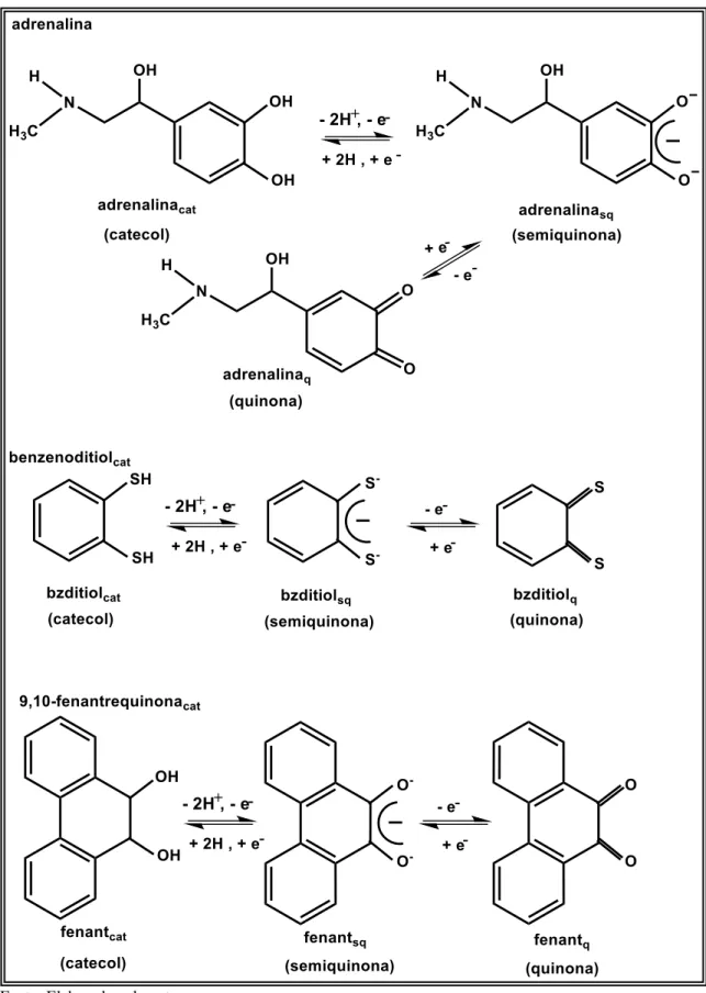 Figura 4. Possíveis estados de oxidação de moléculas da classe das ortobenzoquinonas. 