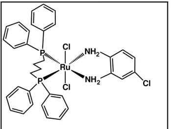 Figura 15. Estrutura do complexo trans-[Ru II Cl 2 (dppb)(opda-Cl cat )].  RuP P Cl Cl NH 2NH 2 Cl