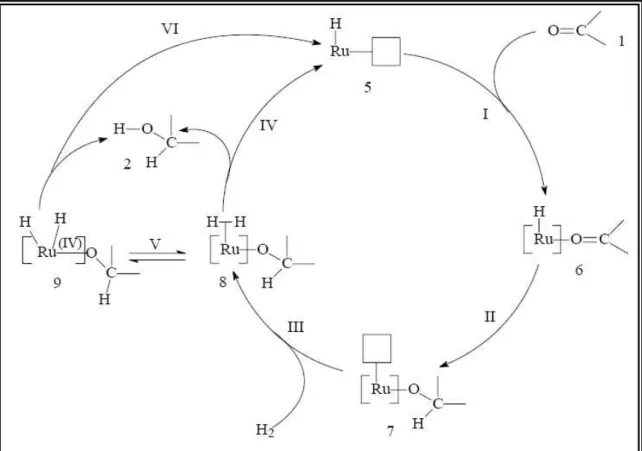 Figura 3. Esquema catalítico generalizado para a hidrogenação de duplas polares [43] 