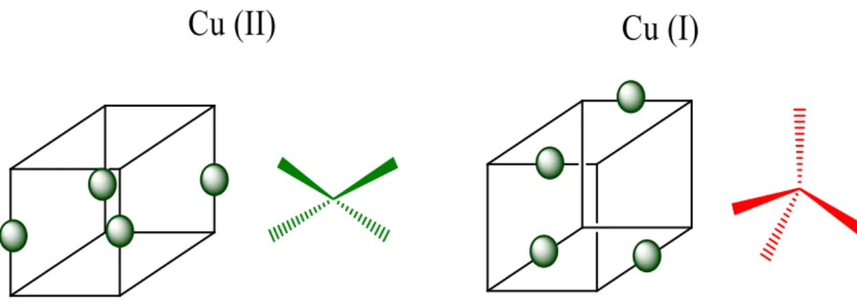 Figura 2: Geometrias associadas aos estados de oxidação (I) e (II) do cobre tetracoordenado.
