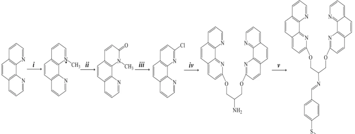 Figura  10:   Esquema  simplificado  da  síntese  do  ligante  2CP-Bz-SMe:  (i)  (CH 3 ) 2 SO 4   em  C 6 H 6 ;  (ii)  K 3 [Fe(CN) 6 ], NaOH; (iii)  PCl 5   em POCl 3 ;  (iv)  Serinol, NaH em DεF;  (v) 4-(metiltio)benzaldeído em  CH 3 OH anidro.