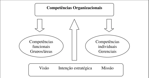 Figura 3: Configurações Organizacionais da Noção de Competência. 