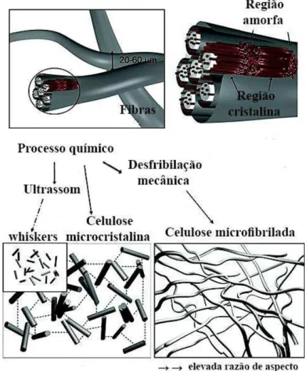 Figura 8 Esquema resumido dos métodos de obtenção da nanocelulose de fibras vegetais. 
