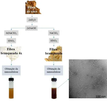 Figura 11 Processo de obtenção de nanocristais de celulose desenvolvido por Rosa et al