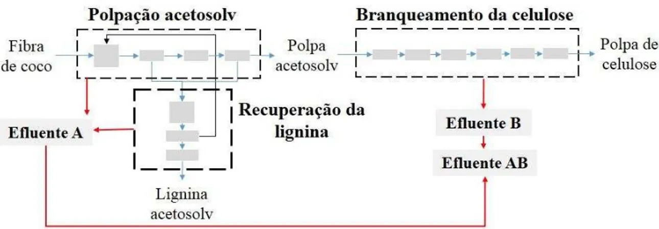 Figura  14  Esquema  representativo  dos  efluentes  usados  nos  ensaios  de  biodegradabilidade anaeróbia e potencial de produção de metano