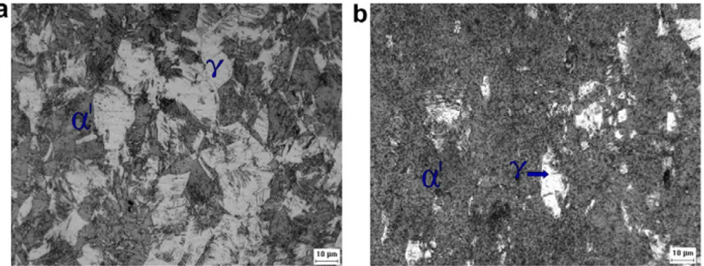 Fig. 4. Micrography of sample of AISI 301LN with deformation of (a) 0.31, and (b) 0.64 (magnification of 1000).