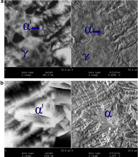 Fig. 9. Micrography with (a) likeness to needles geometry, and (b) laths, obtained from AFM for samples of AISI 301 LN on height and attrition modes.