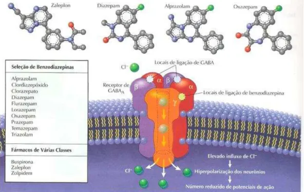 Figura 4 -   Receptor GABA A  e mecanismo de ação dos benzodiazepínicos. 