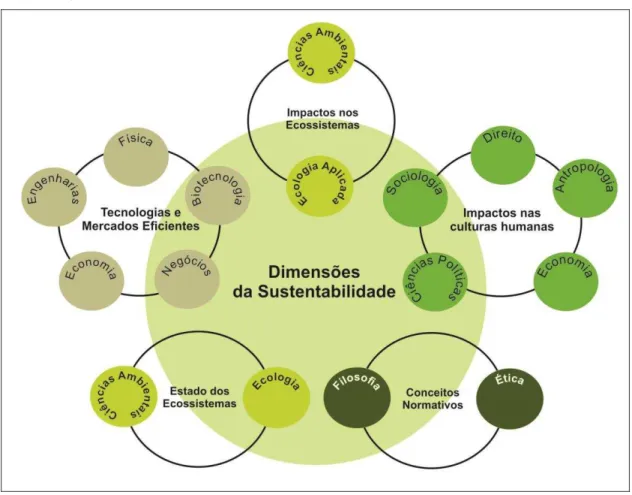 Figura 11  –  Dimensões da Sustentabilidade. 