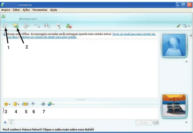 Figura 4 – Janela de chat do MSN. 