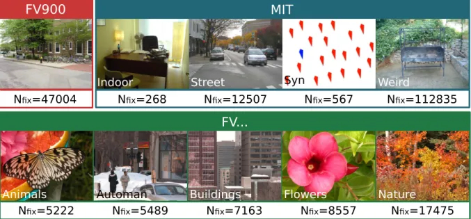 Figure 8 – Stimuli for the online datasets and total number of fixations (N f ix ) in each subgroup.