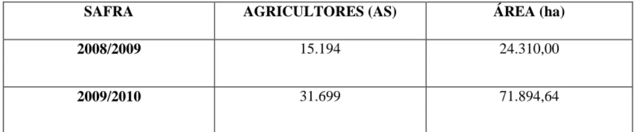TABELA 2: Quantidade de agricultores e hectares voltados para produção de Mamona. 