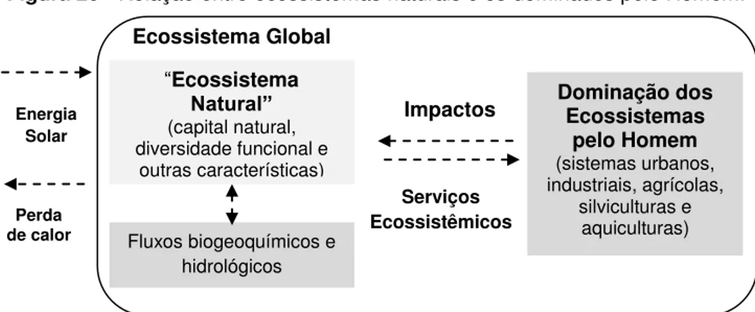 Figura 20 - Relação entre ecossistemas naturais e os dominados pelo Homem. 
