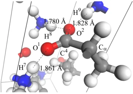 Figura 14: Pontes de hidrogˆenio formadas pelos ´atomos de oxigˆenio no cristal de L-alanina [135].