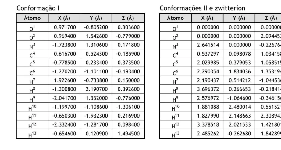 Tabela 1: Coordenadas iniciais (cartesianas) para os ´atomos em diferentes conforma¸c˜ oes da mol´ecula de L-alanina.