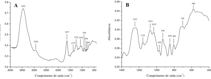 Figura 9  –  Espectros de infravermelho dos polissacarídeos sulfatados totais de  S. filiformis 