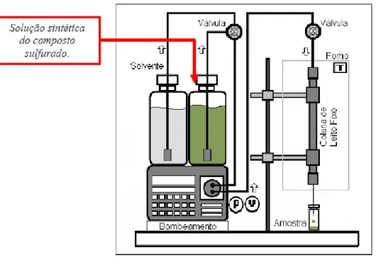 Figura 3.2: Sistema de adsorção em leito fixo para compostos sulfurados utilizados neste  trabalho