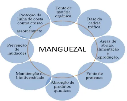 Figura 2- Diagrama das funções e serviços prestados pelo ecossistema manguezal. 