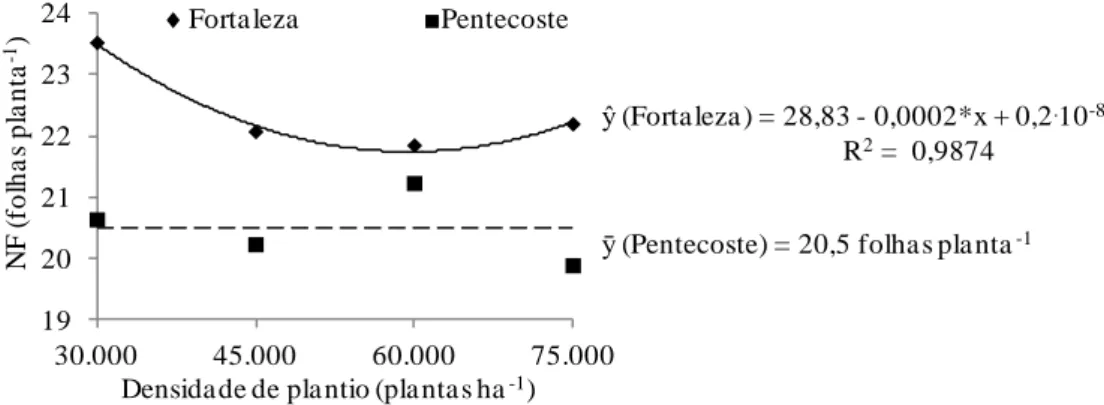 Figura 3 - Número de folhas em plantas de girassol da variedade Embrapa 122 aos 42 dias após a semeadura em  função  da  densidade  de  plantio  na  Área Experimental  do  Departamento  de  Fitotecnia,  em  Fortaleza  (  ),  e  na  Fazenda Experimental Va