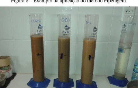 Figura 8 – Exemplo da aplicação do método Pipetagem. 