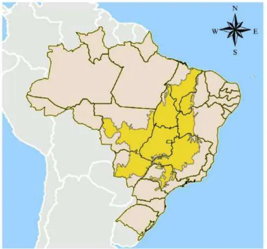 Figura 2: Mapa 01 -Área do Cerrado Brasileiro  Fonte: IBGE (2010) 