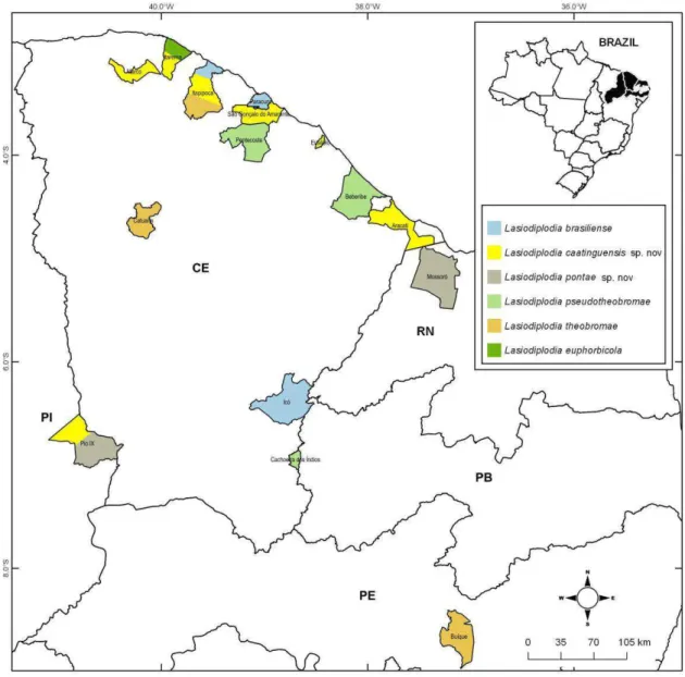Figure 2 Geographical origin of Lasiodiplodia species identified by sequencing and alignment  of three gene regions (ITS, TEF1- α  and  β -tub) associated with perennial tropical fruit plants in  northeastern Brazil