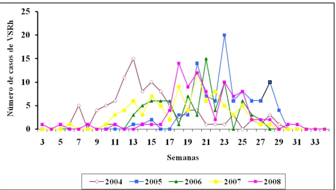 Figura  09  -  Distribuição  semanal  de  infecções  respiratórias  agudas  causadas  pelo  vírus  sincicial  respiratório  humano  durante  os  períodos  epidêmicos  ocorridos  de  2004  a  2008  em  Fortaleza