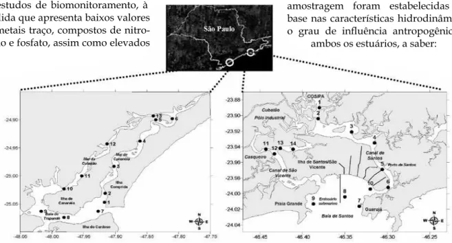Figura 1 - Localização das regiões de estudo. (A): Estuário de Cananéia, (B): Estuário de Santos-São Vicente, com a iden- iden-tiicação das estações de amostragens.