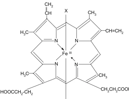 FIGURA 3. Estrutura da ferriprotoporfirina (WHITAKER, 1985). 