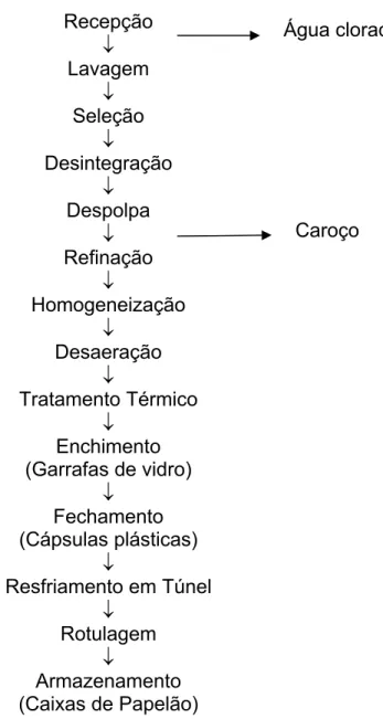 FIGURA 5. Fluxograma de elaboração do suco tropical de manga não adoçado  obtido pelo processo hot fill