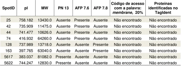 Tabela  4  -  Relação  de  proteínas  não  identificadas  no  TagIdent  das  amostras  de  proteínas de membrana de hemácias do controle (PN 13.1) e do paciente (AFP 7.6 e  7.8).