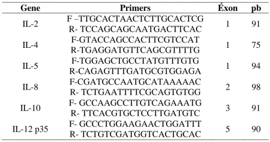 Tabela 2. Genes, sequência dos primers, posição nos éxon e o tamanho dos produtos (pb)