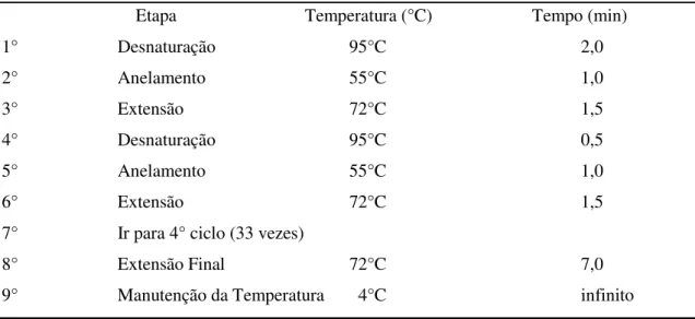 Tabela 05: Condições de amplificação do gene recA, utilizando o programa RAFAEL  (PTC-200): 