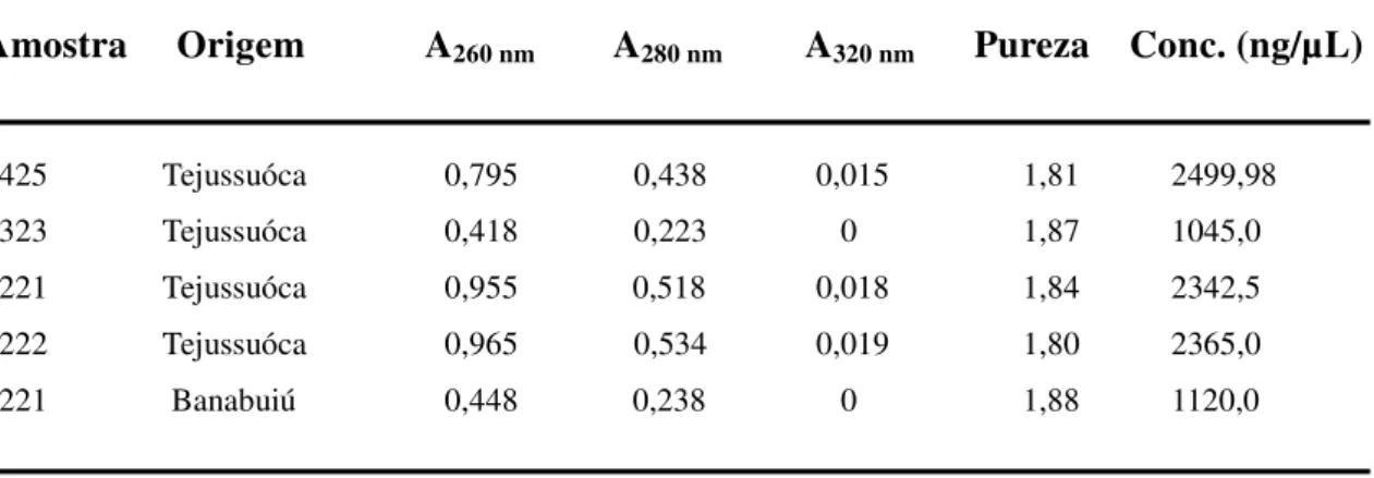 Tabela  06:  Valores  das  Absorbâncias  a  260  nm,  280  nm  e  320  nm,  pureza  e  as  concentrações de DNA das cepas de Chromobacterium violaceum