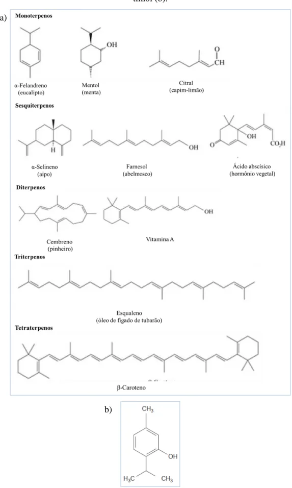 Figura 2 - Exemplos de terpenos e produtos naturais relacionados (a); Estrutura molecular do  timol (b)