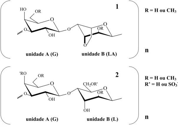 Figura 3 – Estrutura  química  básica  da  agarose, também  chamada  de  agarobiose (1)  e da  agaropectina,  também  conhecida  como agarana (2)
