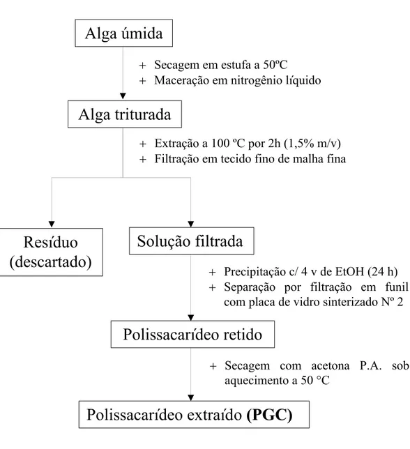 Figura 9 – Estratégia  experimental  para  extração  dos  polissacarídeos  da  alga Gracilaria  caudata.