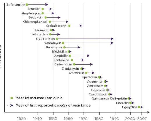 Figura 5 - Linha do tempo de resistência para os principais antibióticos 