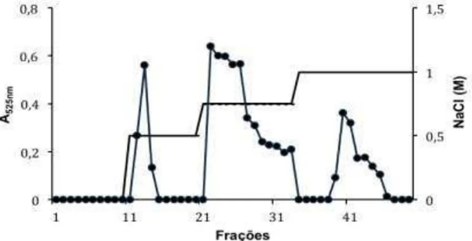 Tabela β − Composição química e concentrações de NaCl necessárias para a eluição das  diferentes  frações  da  galactana  sulfatada  da  alga  vermelha  Acanthophora  muscoides   de  uma coluna de DEAE-celulose