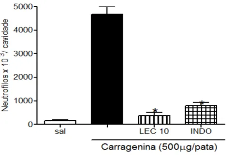 Figura  14  -  Efeito  da  Lec  sobre  a  Migração  de  Neutrófilos  Induzida  por  Carragenana  (Cg)  na  Cavidade  Peritoneal  de  Camundongos