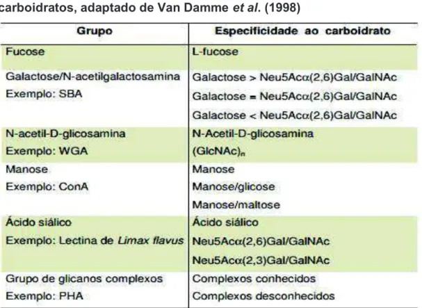 Tabela 01: Especificidade de ligação de lectinas vegetais a  carboidratos, adaptado de Van Damme et al