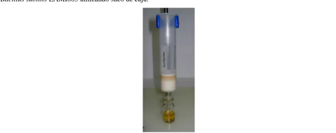 Figura 4 – Coluna cromatográfica de fase reversa utilizada para a purificação do biossurfactante produzido por  Bacillus subtilis LAMI005 utilizando suco de caju