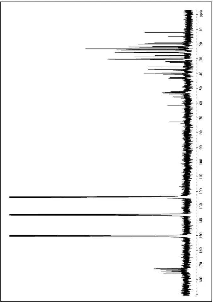Figura 8 – Espectro de RMN  13 C da fração F:29-35 (75 MHz, piridina-d5). 