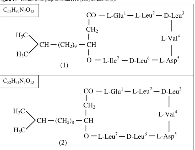 Figura 10 – Estruturas de [Ile]Surfactina (1) e [Leu] Surfactina (2).  