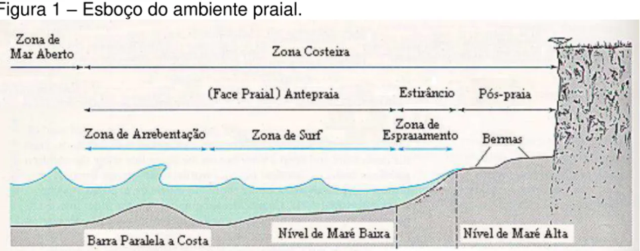 Figura 1  –  Esboço do ambiente praial. 