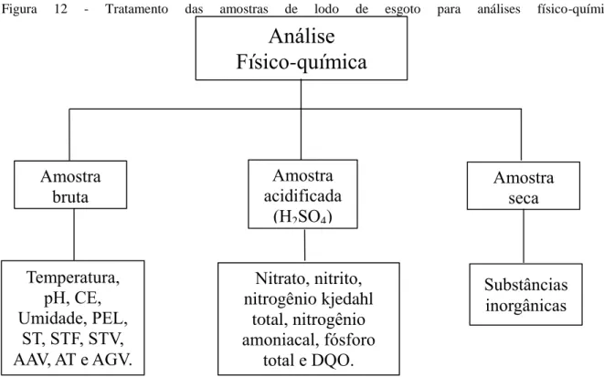 Figura  12  -  Tratamento  das  amostras  de  lodo  de  esgoto  para  análises  físico-químicas